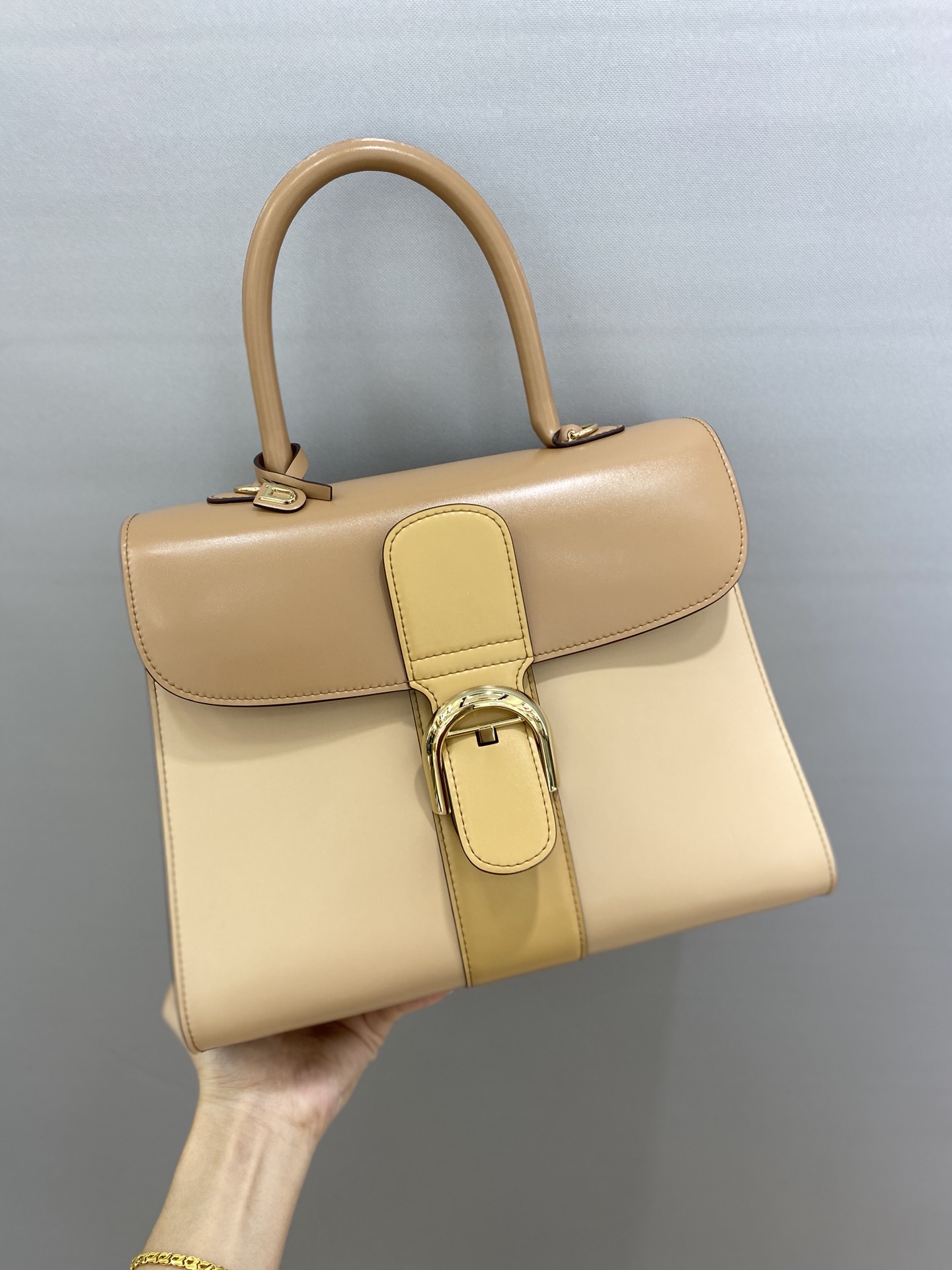 델보 브리앙 박스백 미듐